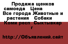Продажа щенков самоеда › Цена ­ 40 000 - Все города Животные и растения » Собаки   . Коми респ.,Сыктывкар г.